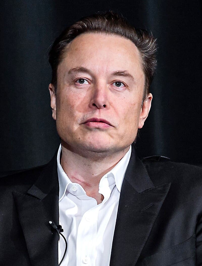 Elon Musk Cowboy
